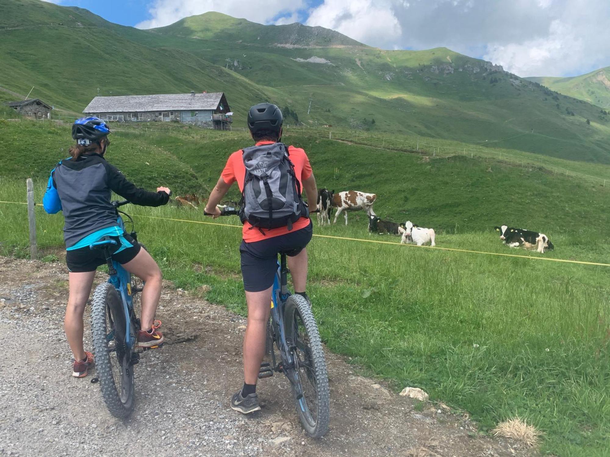 Chalet Montriond - Bike & Ski 레 크로세트 외부 사진